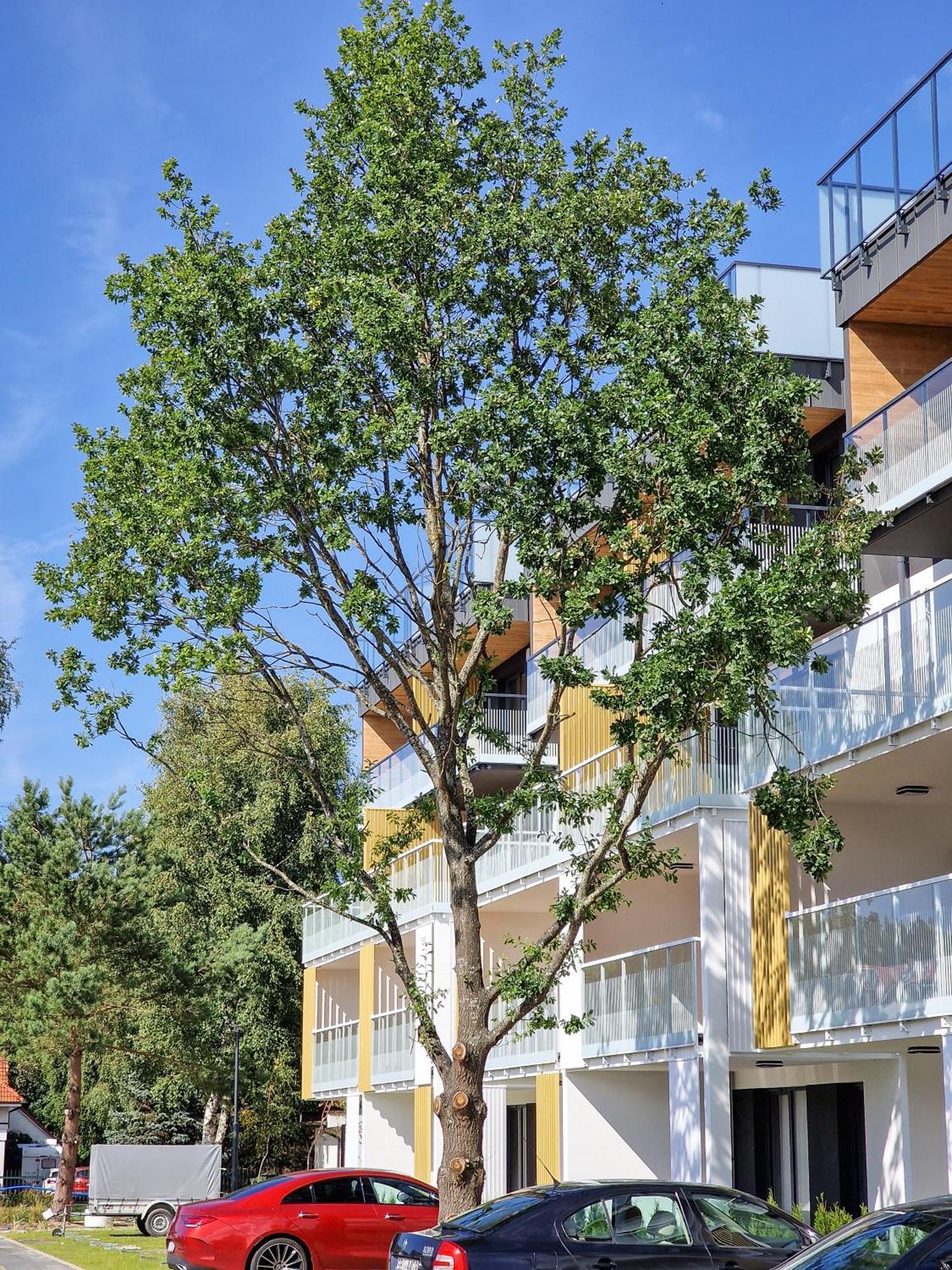 Posesja Apartamenty & Spa - Posesja Plazowa 4A II Grzybowo  Exterior photo